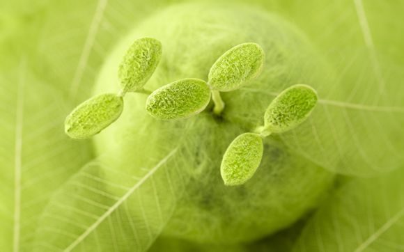 天猫4月份有什么活动