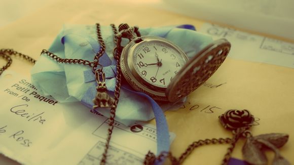 星语星愿白雪儿免费阅读