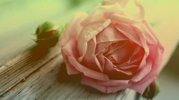 84平的简约风小户型二居室，紧凑而又实用的小窝！