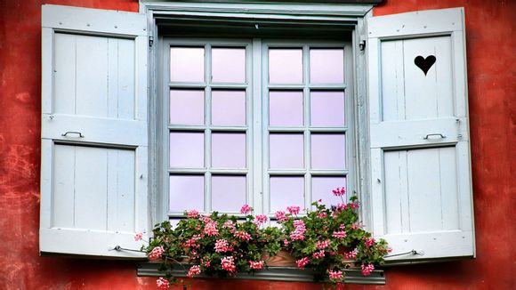 无犯罪记录证明格式