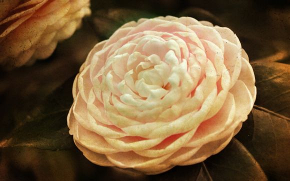 泡泡影视电影的天堂