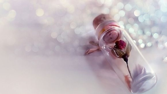 无主之城电视剧