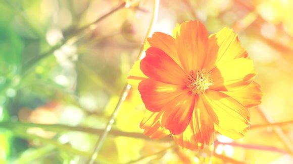 早盘60量比选股技巧