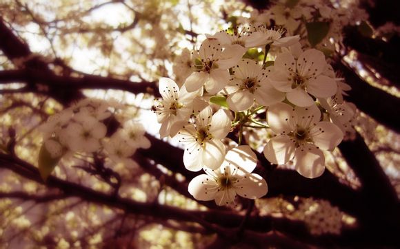 年底送礼白酒清单！过年送什么档次的酒合适？