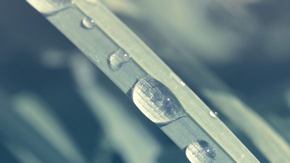 78平的小户型北欧风二居室，清新淡雅的配色真好看！