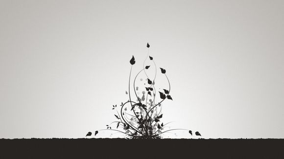 无法忍受完整版中文