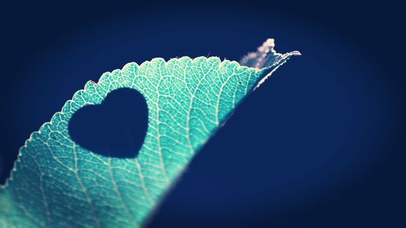 无记名投票流程