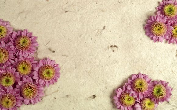 日线周线月线选股