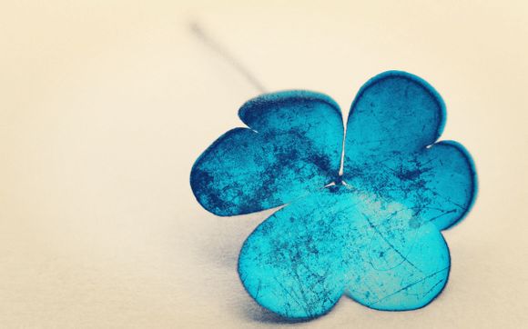 人工酿酒与自然酿酒有何区别？