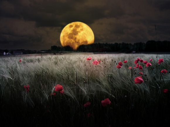 无敌破坏王国语版免费