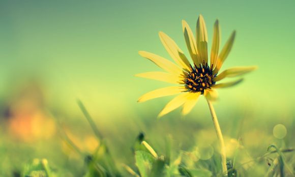 茅台有哪些嫡系产品？酱酒十大热门品牌都有哪些嫡系产品？