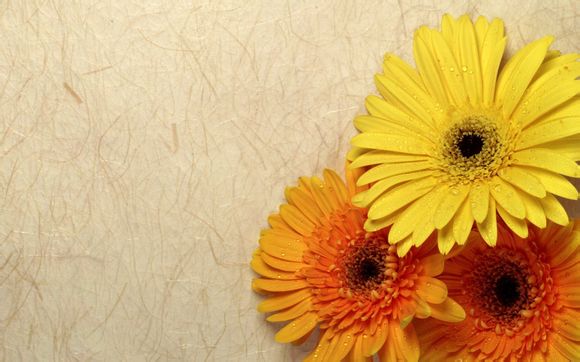 关于法制的名言警句